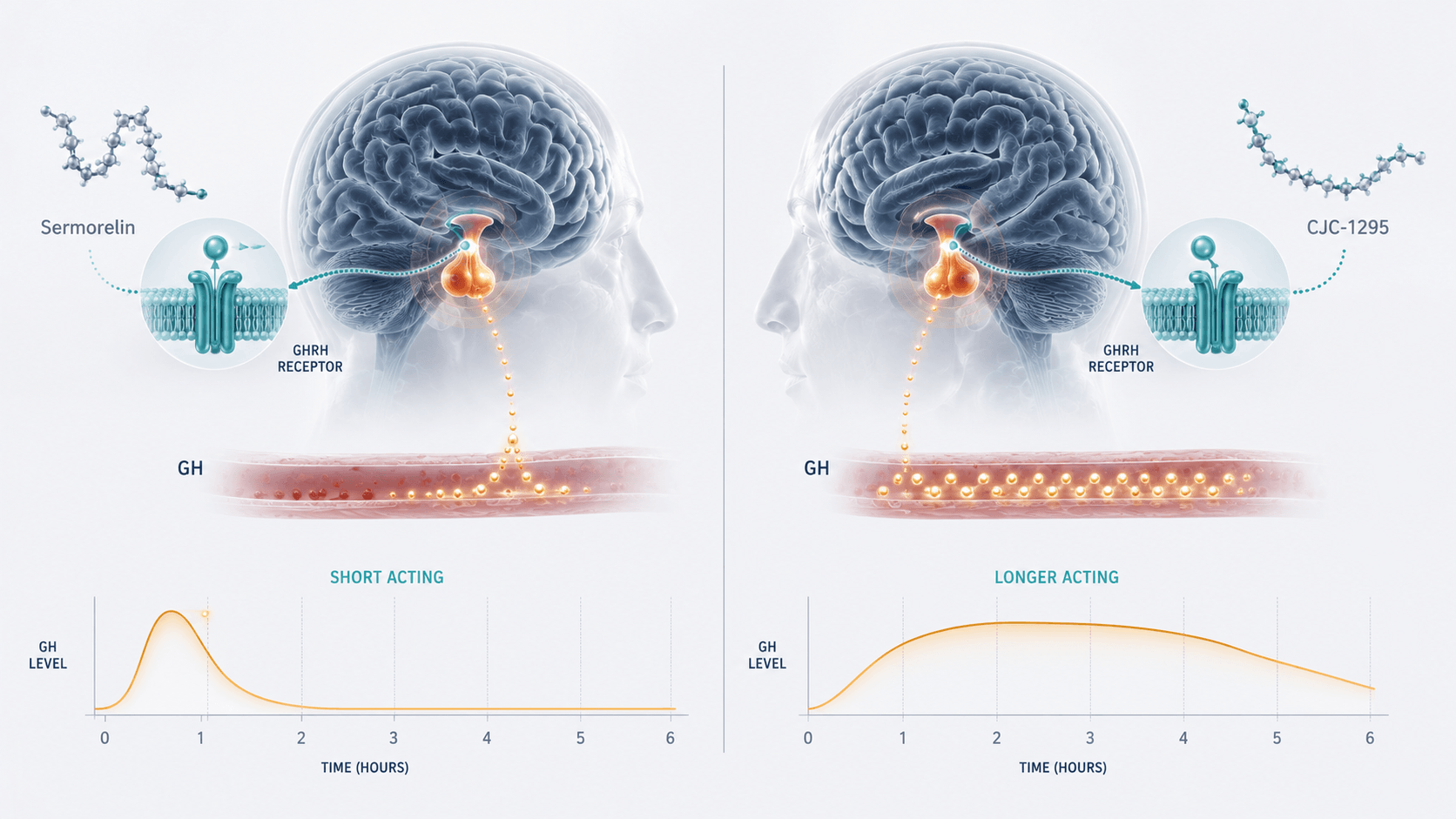 CJC-1295 and sermorelin